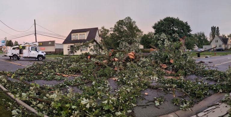 Shannon Street was closed for several hours while city crews cleared a fallen tree near the Dollar General Store. (Sam Shriver/CherryRoad Media)