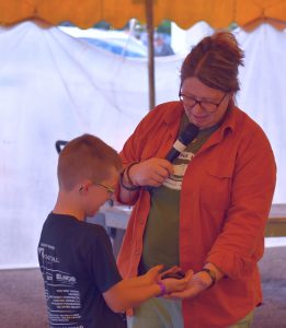Beth Wood, owner of Indiana Wild has an audience member handle a giant African millipede at the Van Wert County Fair. (Sam Shriver/CherryRoad Media)