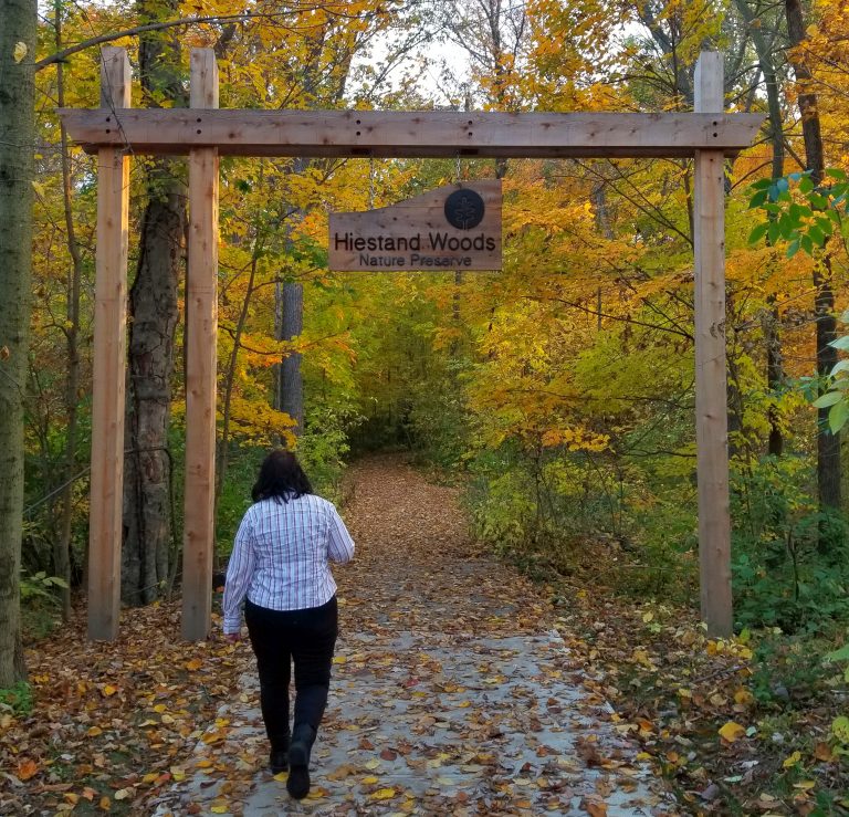Hiestand Woods is a popular place to go leaf peeping in Van Wert County. (Sam Shriver/CherryRoad Media)